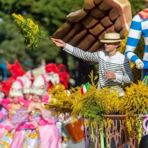 Festa della Mimosa Prodotti