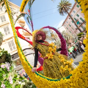 Sanremo in fiore Prodotti