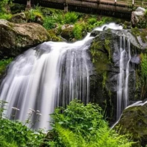 24-27 SETTEMBRE 2026 <br> TOUR ALSAZIA E FORESTA NERA