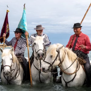 22-24 MAGGIO <br> CAMARGUE FESTA DEI GITANI
